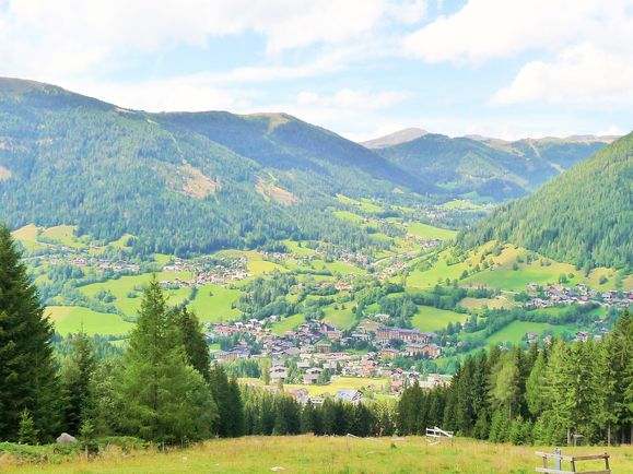 Pilze sammeln, Natur erkunden, Nationalpark Guides